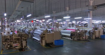 從外銷(xiāo)80到內(nèi)銷(xiāo)80 吳江民企以拳頭商品成功開(kāi)拓內(nèi)銷(xiāo)市場(chǎng)的幕后故事